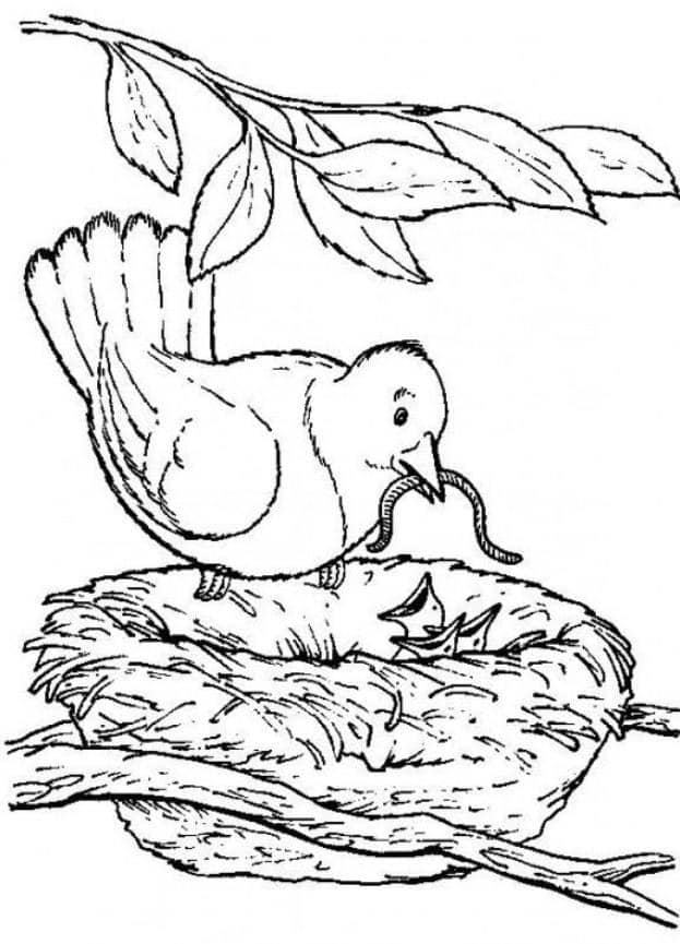 11 Easy Coloring Pages For Seniors In 2021 Happier Human