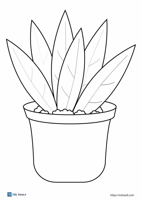 20 Free Printable Plant Coloring Pages ESL Vault 20 Free Printable Plant Coloring Pages ESL Vault
