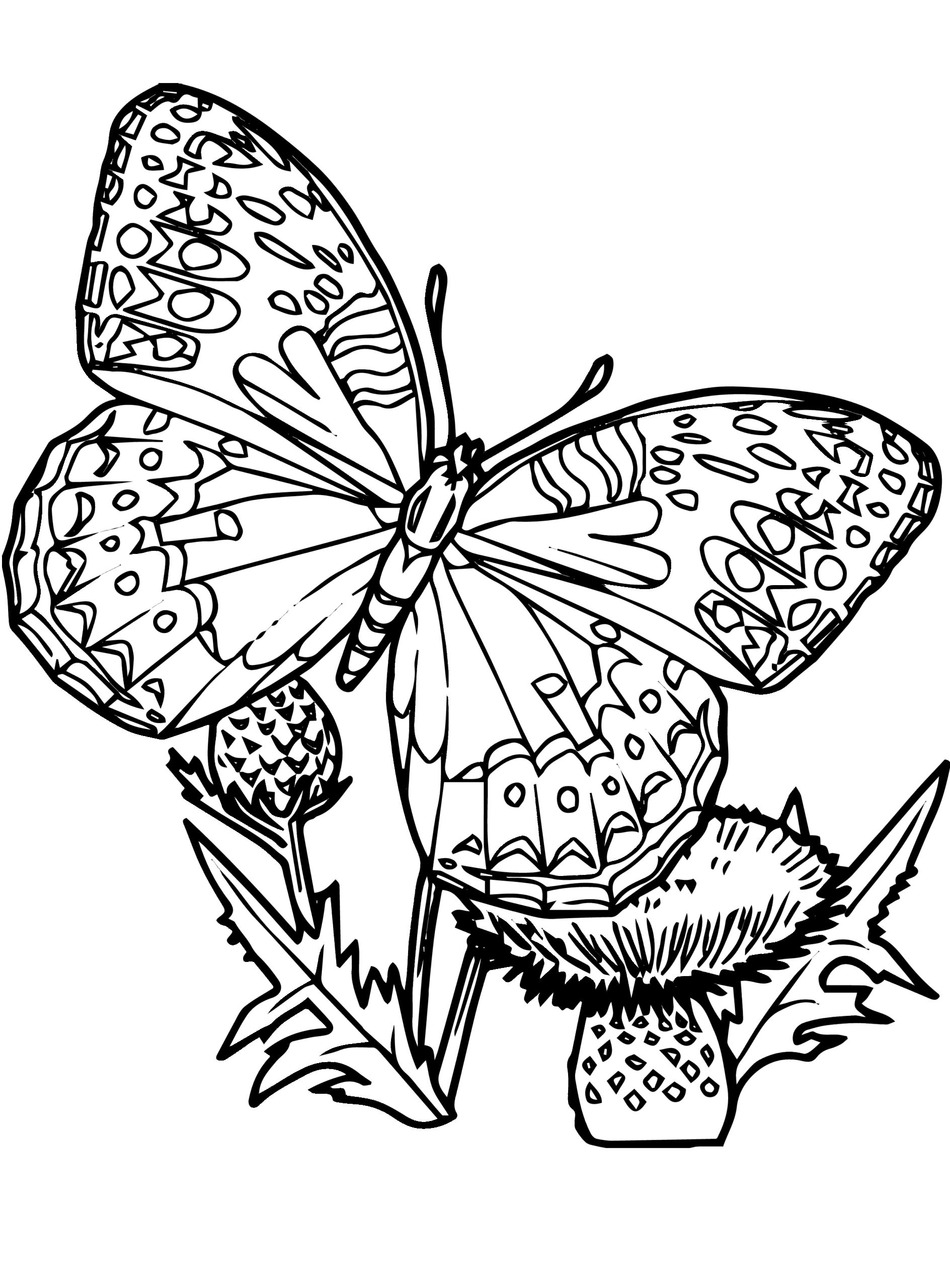 25 Free Printable Butterfly Coloring Pages Butterfly Coloring Page 25 Free Printable Butterfly Coloring Pages Butterfly Coloring Page