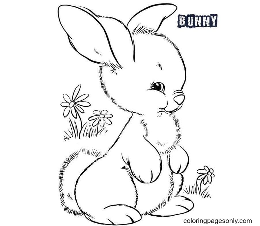 50 Cute Bunnies Coloring Pages ColoringPagesOnly
