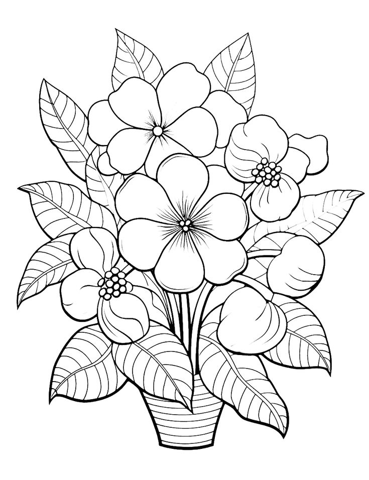 75 Flower Coloring Pages Free Printable Sheets Printable Flower 