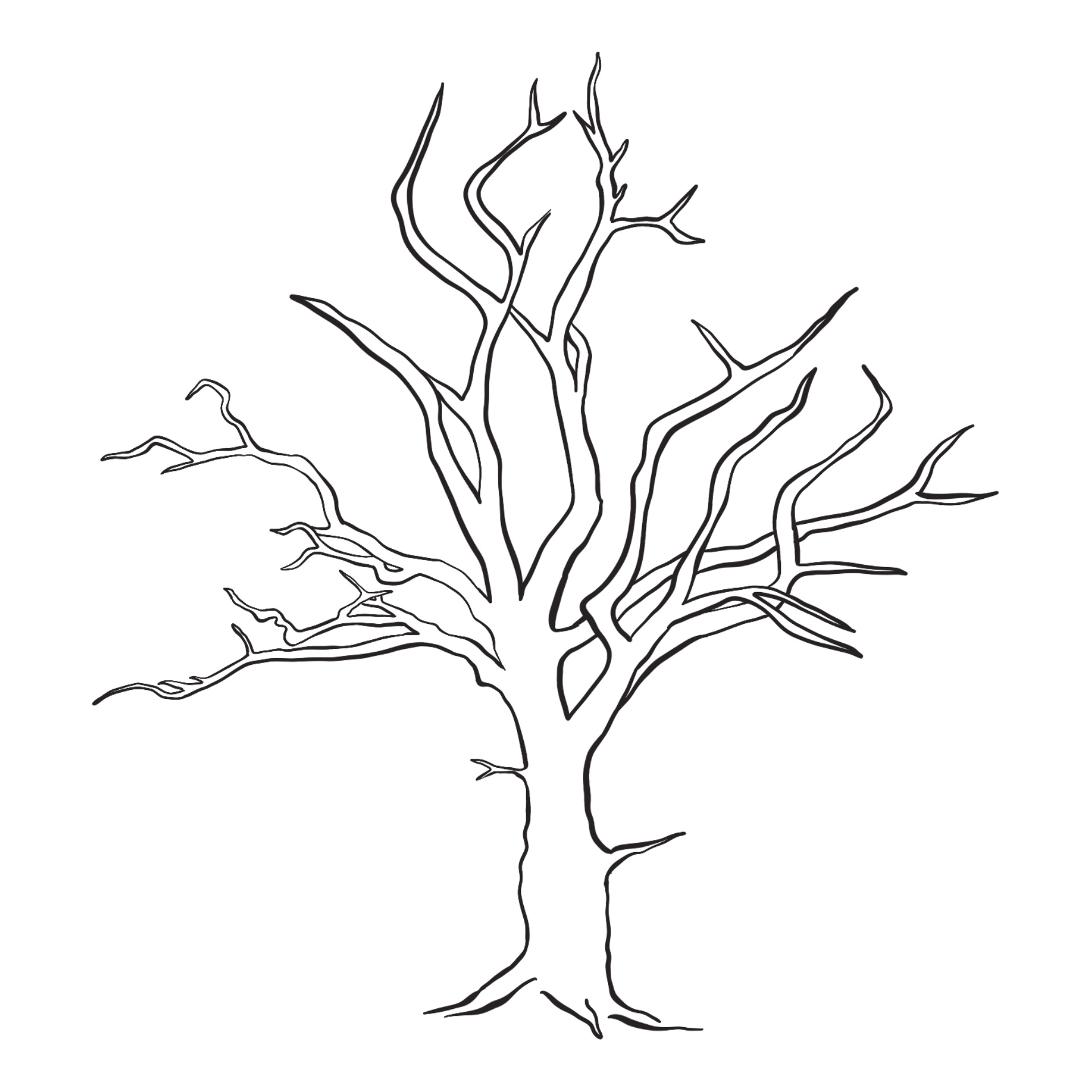 9 Best Images Of Free Printable Tree Without Leaves Tree No Leaves 