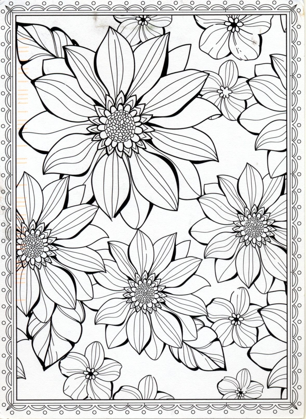 free printable adult coloring pages flowers