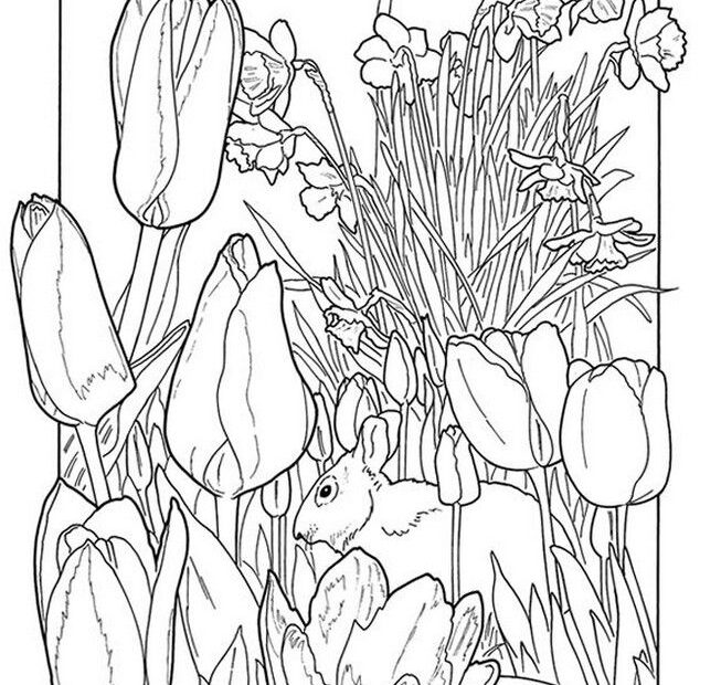 Adult Coloring Pages Free Spring Coloring Home