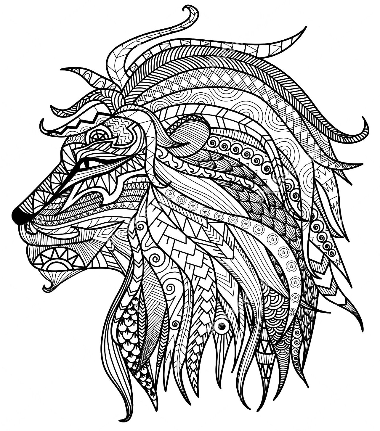 lion adult coloring page lion adult coloring page
