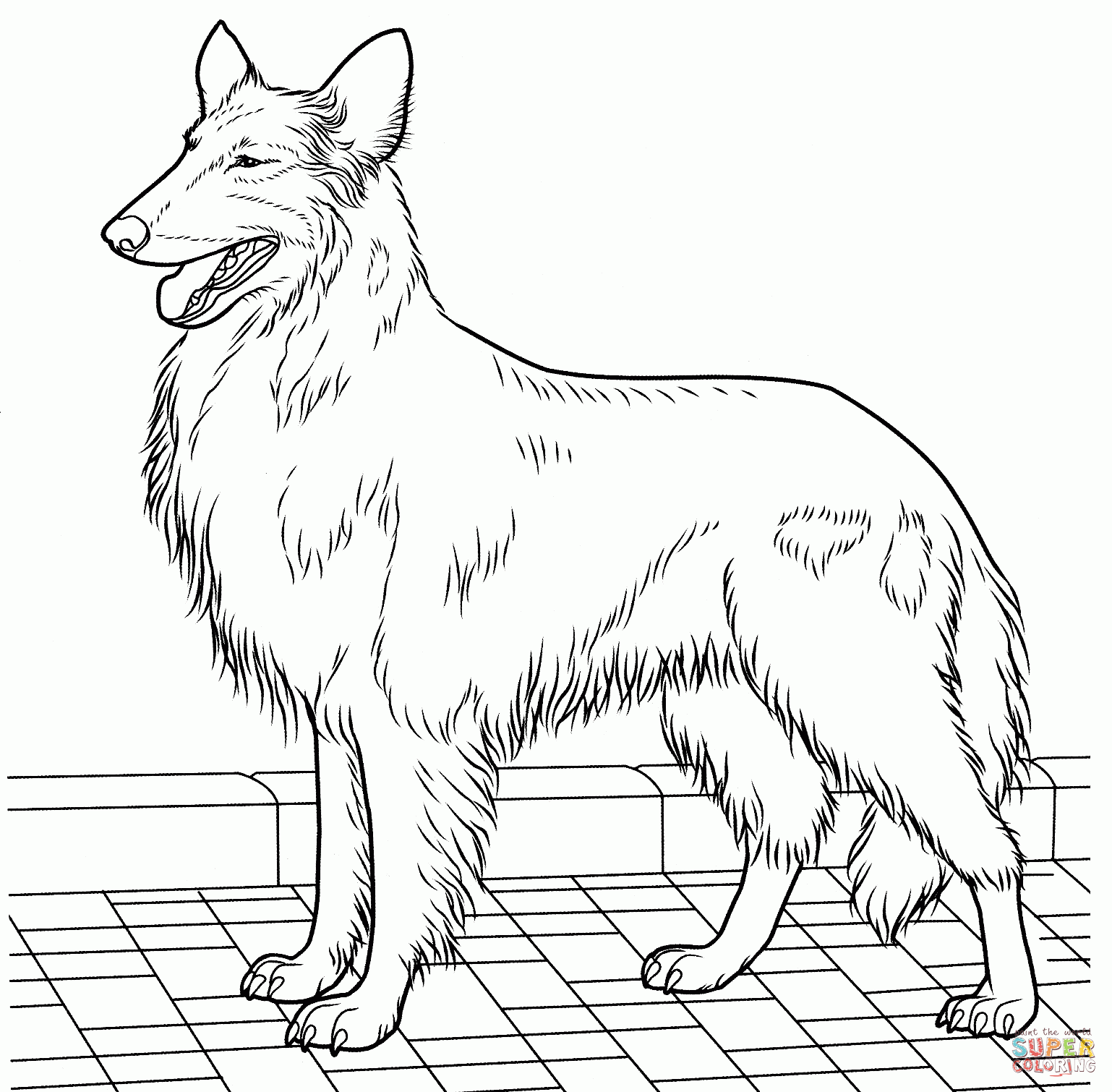 Adult Coloring Pages Realistic Dogs Coloring Pages