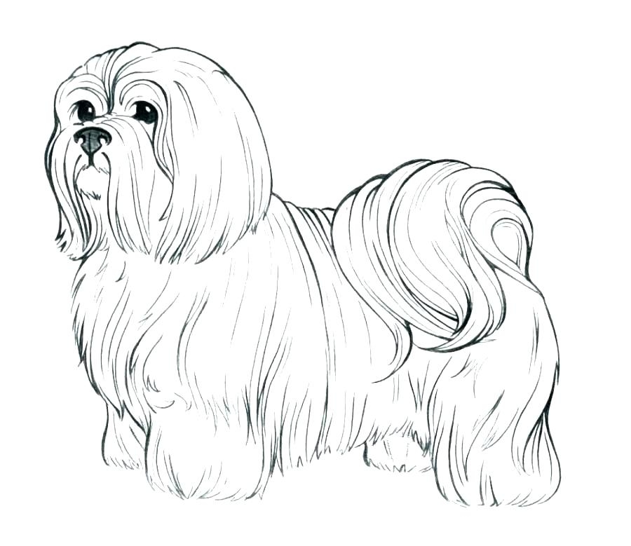 Adult Coloring Pages Realistic Dogs Coloring Pages