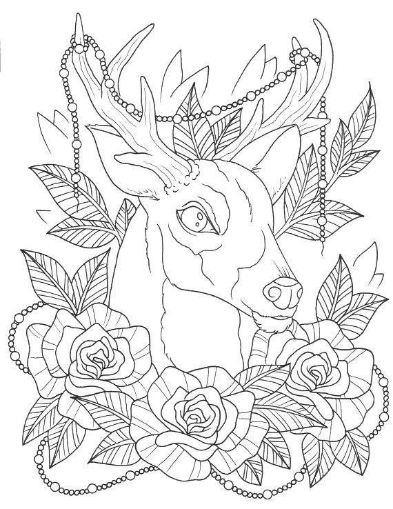 Aesthetic Coloring Pages Deer With Flowers Free Printable Coloring Pages