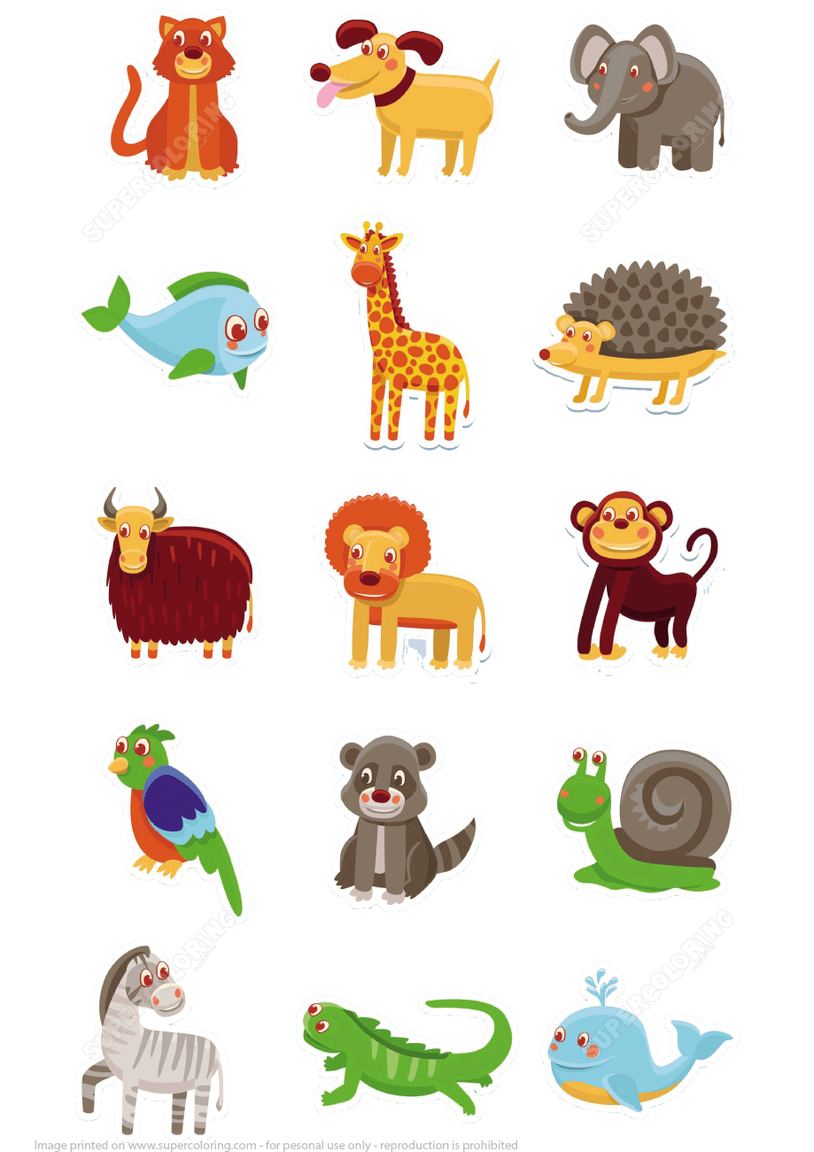 An Image Of Different Animals That Are Grouped Together