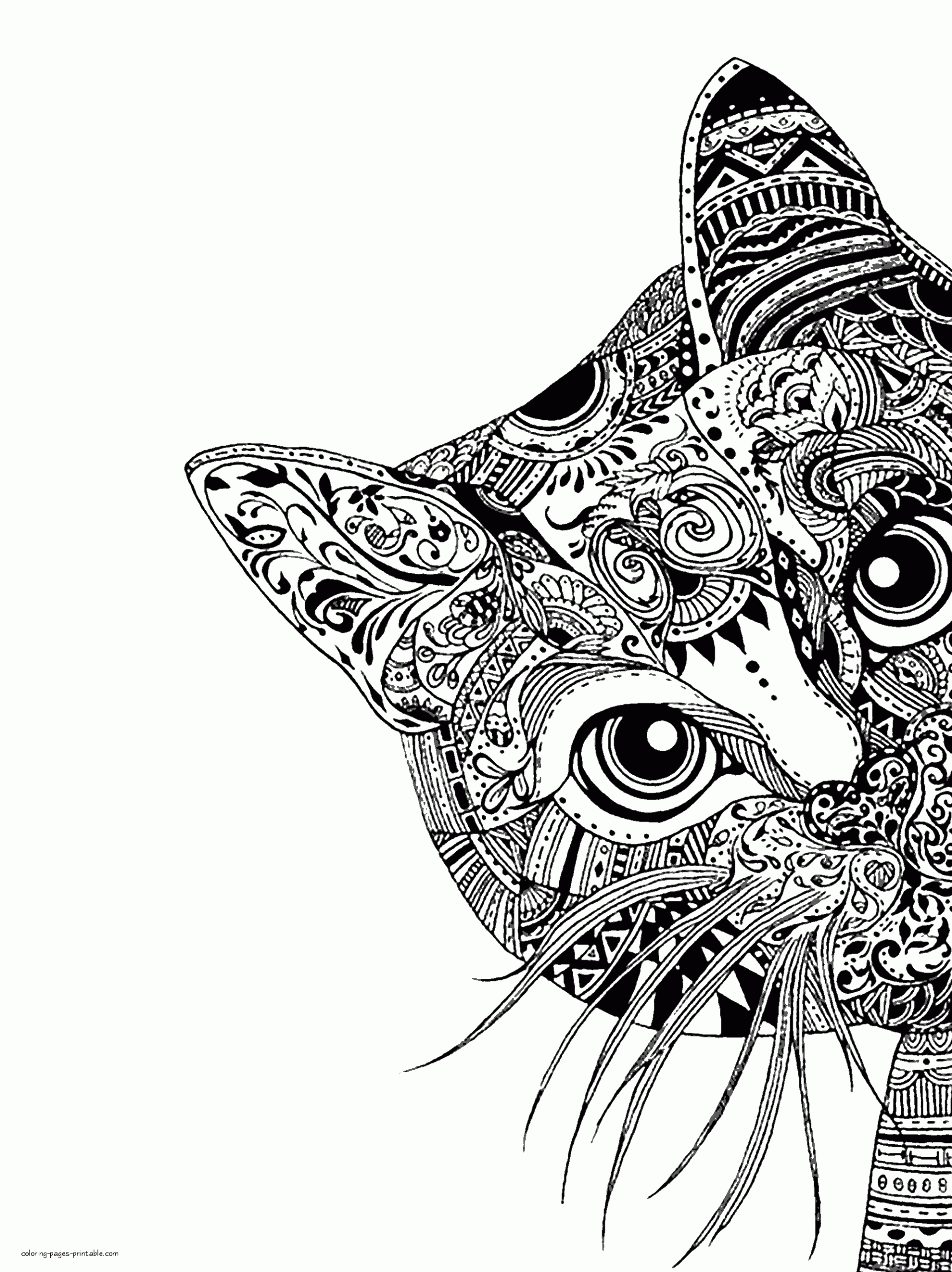 Animal Coloring Pages