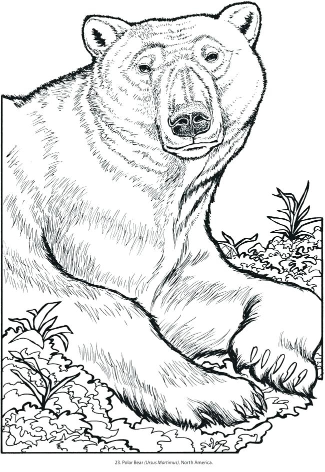 free printable coloring pictures animals