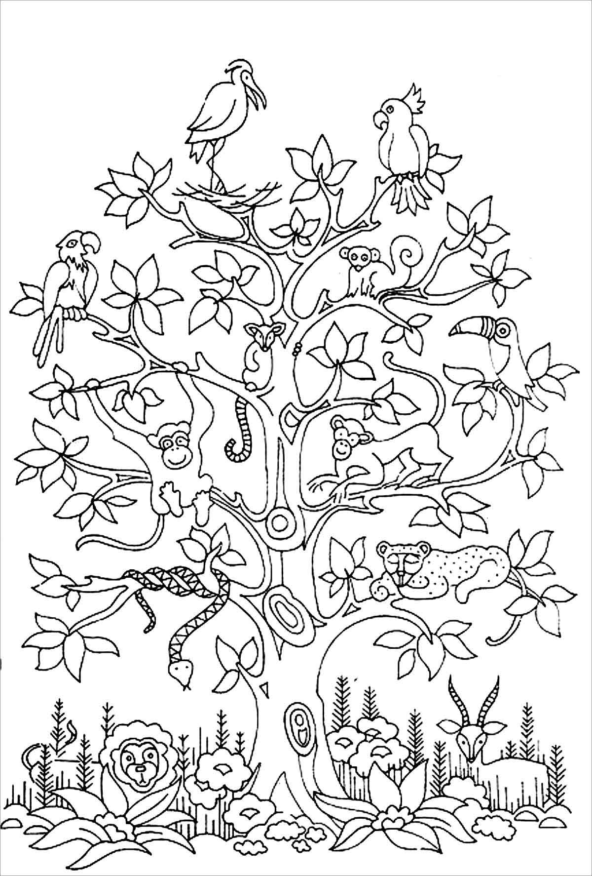 Animals Lives On Trees Coloring Pages ColoringBay