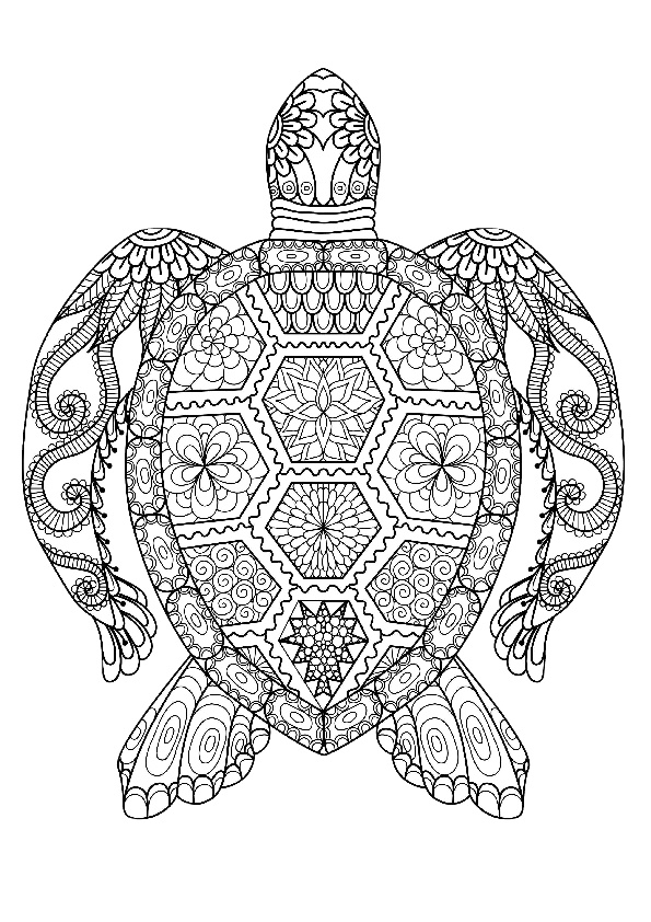 Animals Turtle Adult Mandala Coloring Pages Print Color Craft Animals Turtle Adult Mandala Coloring Pages Print Color Craft