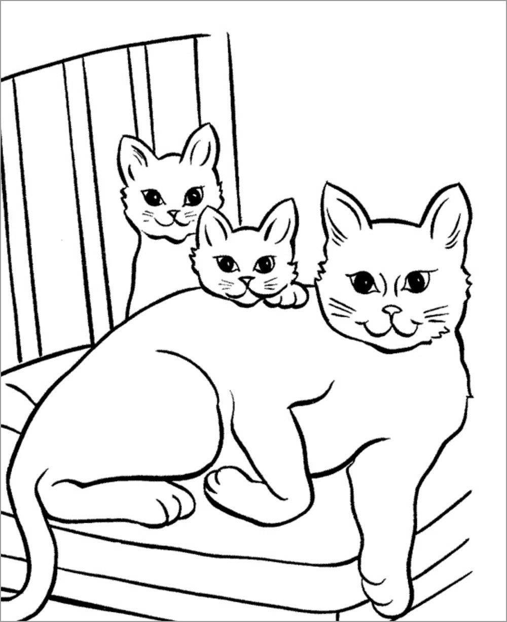 Anime Cat Coloring Page ColoringBay