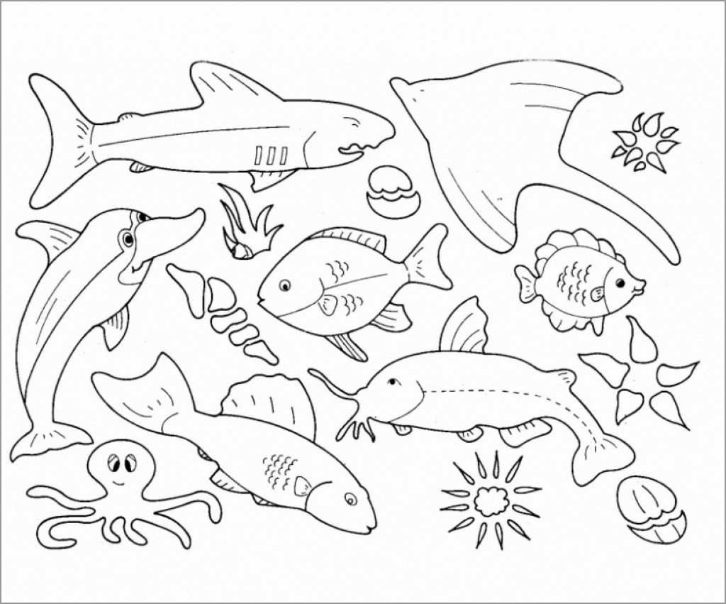realistic ocean animals coloring pages