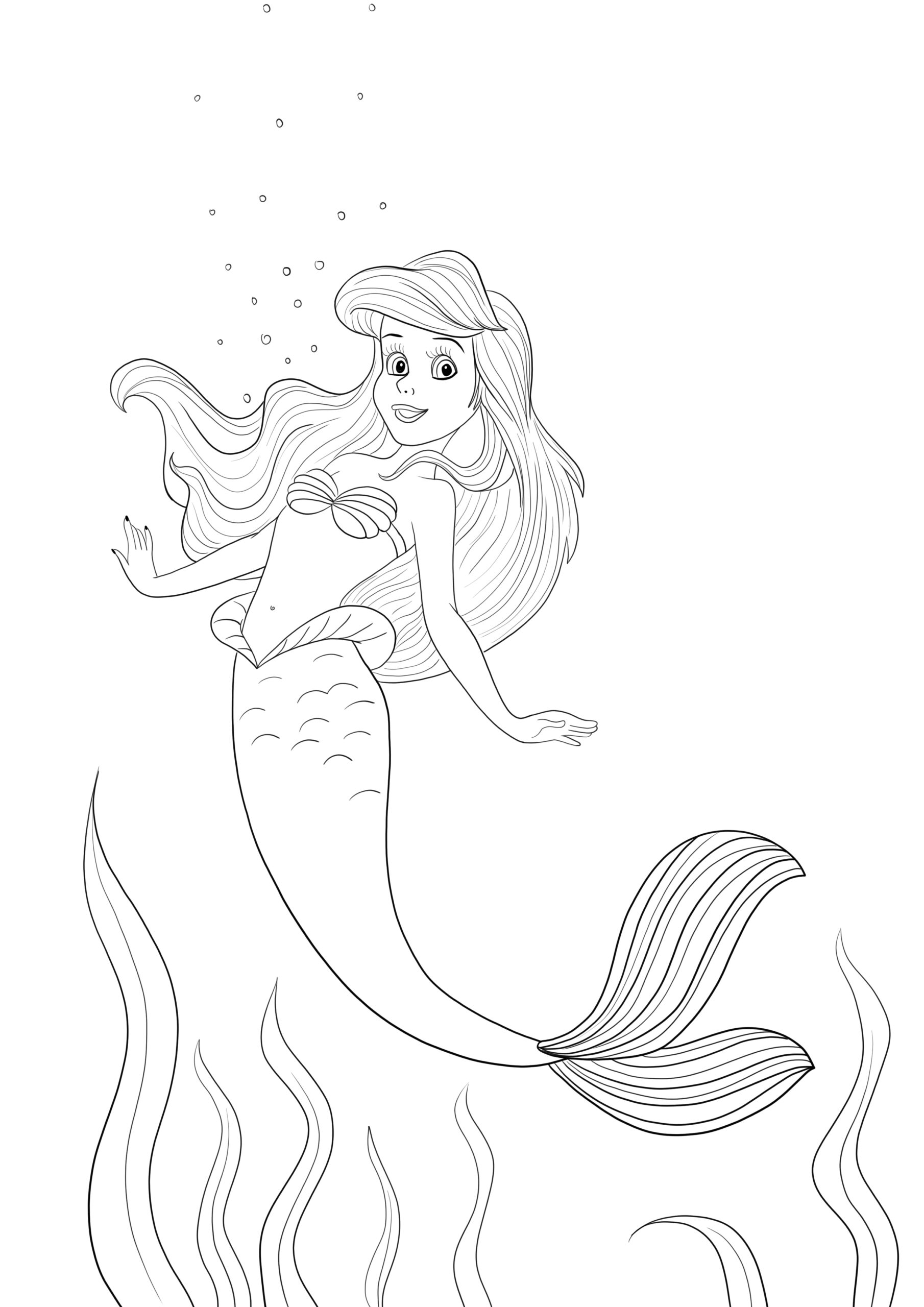 Ariel Mermaid Printable Picture Ariel Mermaid Printable Picture