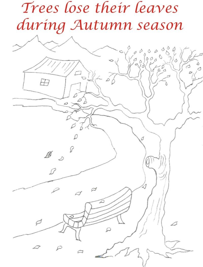 Autumn Season Printable Coloring Pages For Download