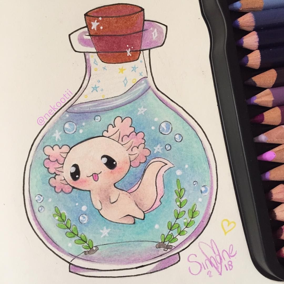 Axolotl 03 Axolotl Cute Animal Drawings Kawaii Axolotl Cute Images Axolotl 03 Axolotl Cute Animal Drawings Kawaii Axolotl Cute Images