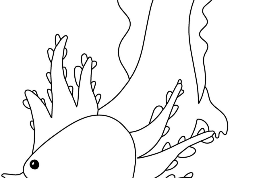 Axolotl Coloring Page Printable