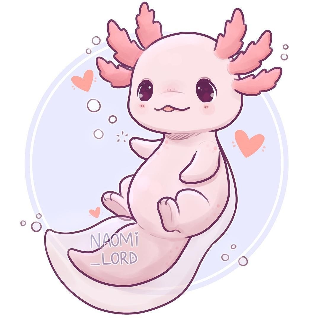 cute axolotl drawings to color cute axolotl drawings to color