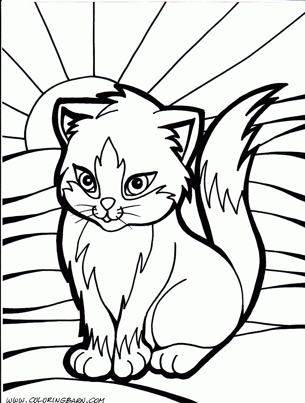 free colouring pages cats