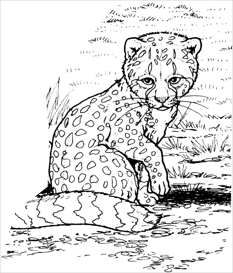 Baby Cheetah Coloring Page ColoringBay Baby Cheetah Coloring Page ColoringBay