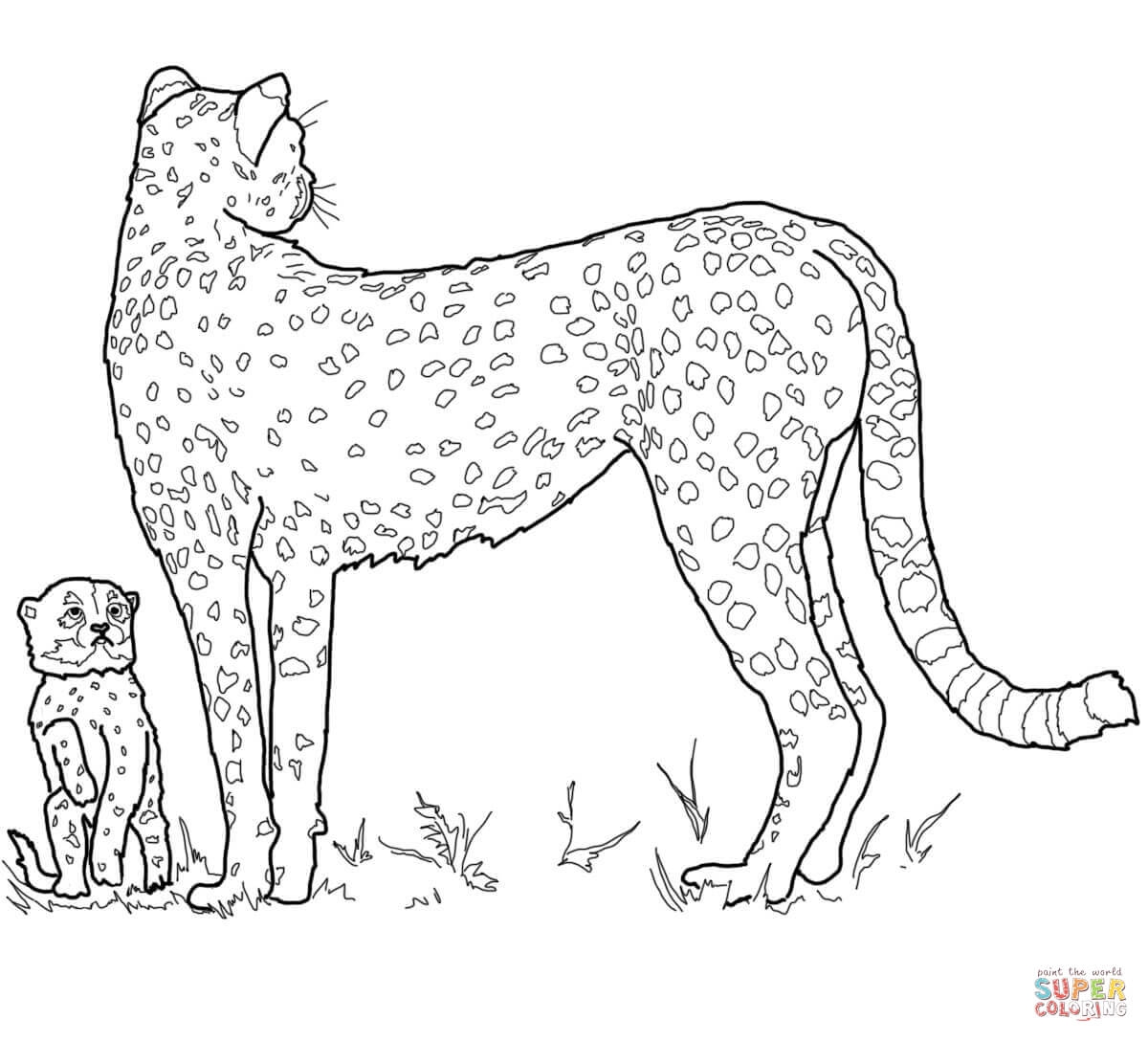 Baby Cheetah For Coloring Pages Coloring Home Baby Cheetah For Coloring Pages Coloring Home