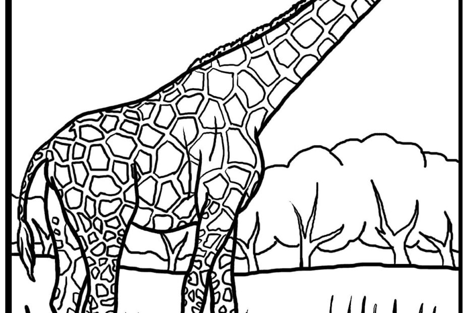 Baby Giraffe Realistic Giraffe Coloring Pages