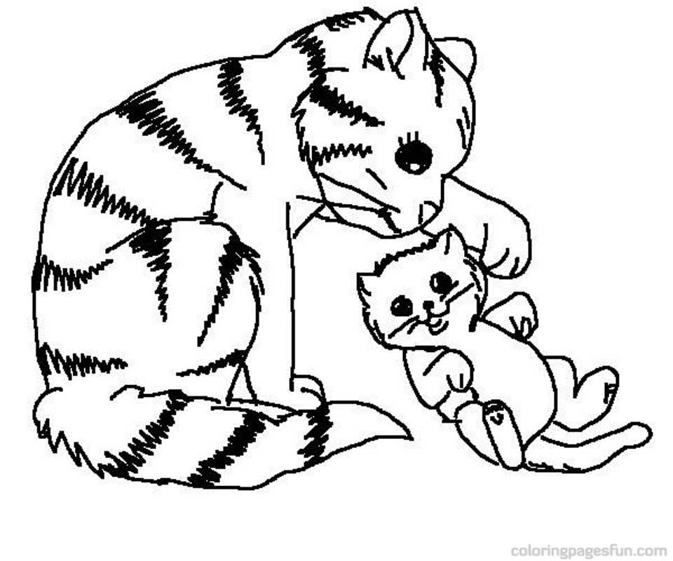 Baby Kittens Coloring Pages Coloring Home Baby Kittens Coloring Pages Coloring Home
