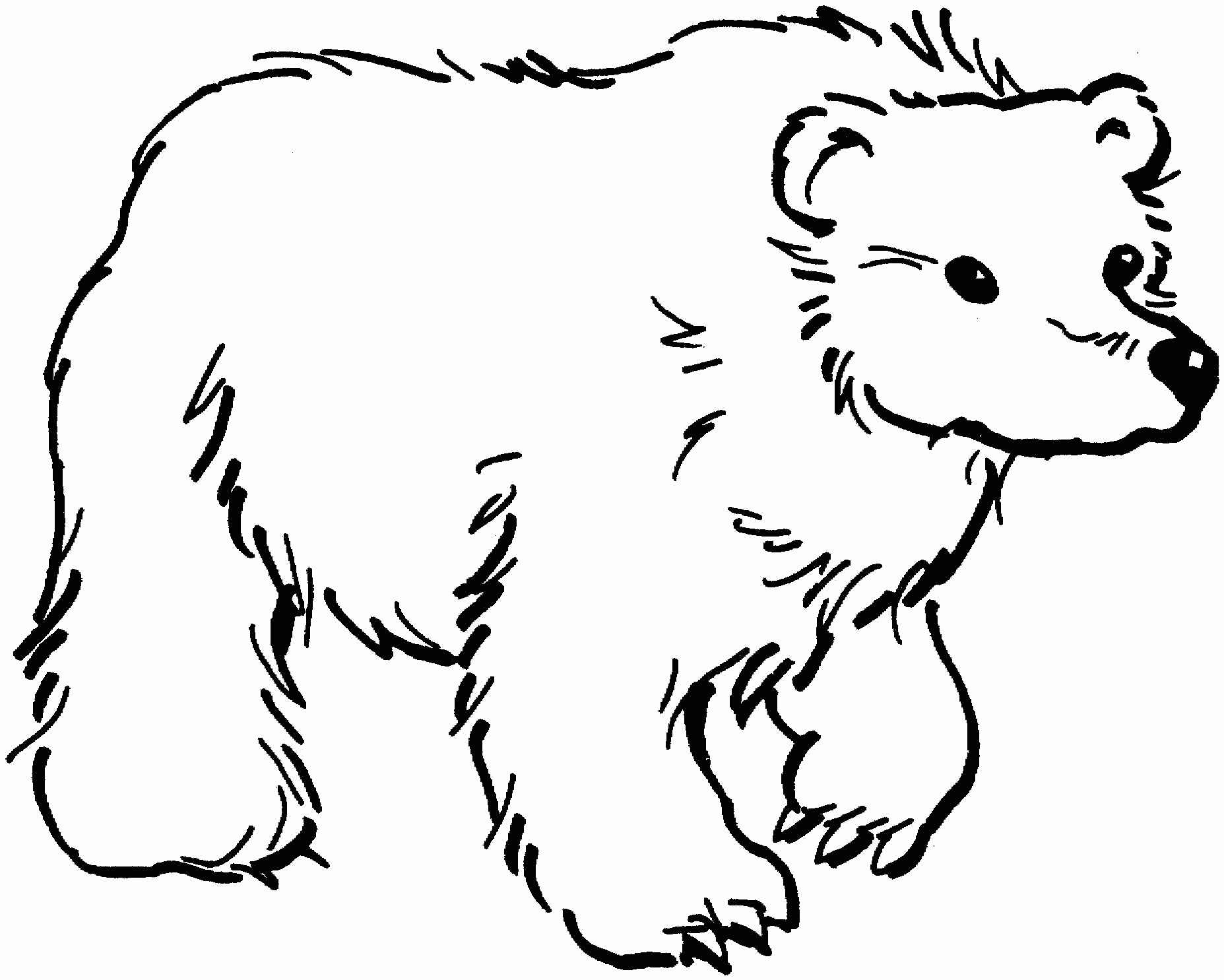 Bear Coloring Sheets Printable Coloring Pages Bear Coloring Sheets Printable Coloring Pages