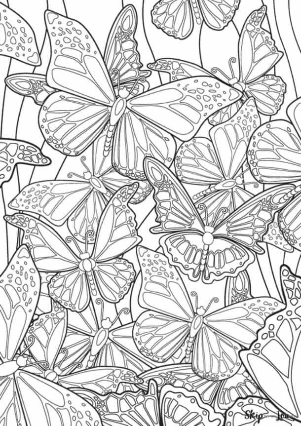 Butterfly Coloring Sheets Adult