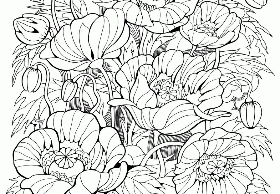 Beautiful Coloring Pages For Adults Flowers COLORING PAGES