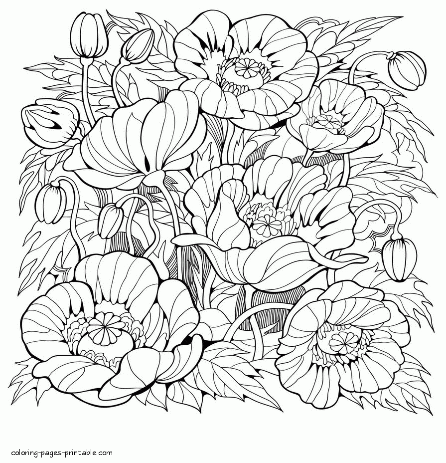 Beautiful Coloring Pages For Adults Flowers COLORING PAGES Beautiful Coloring Pages For Adults Flowers COLORING PAGES