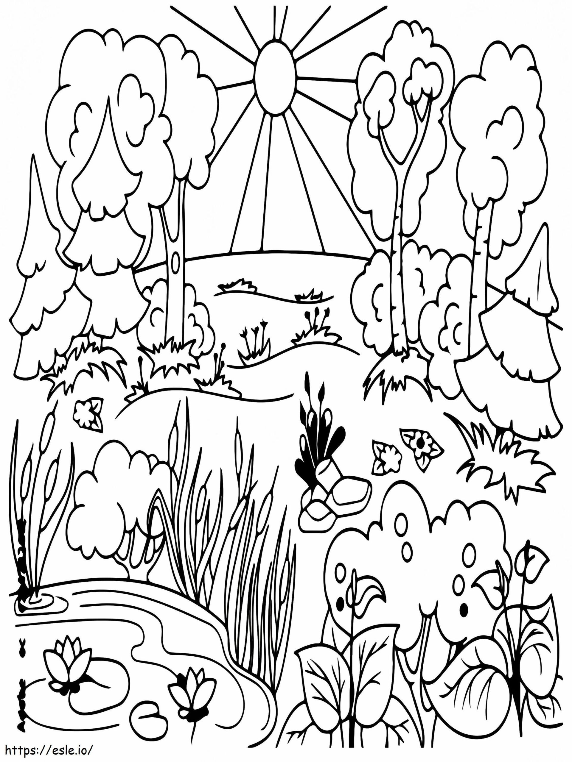 bear in forest coloring page