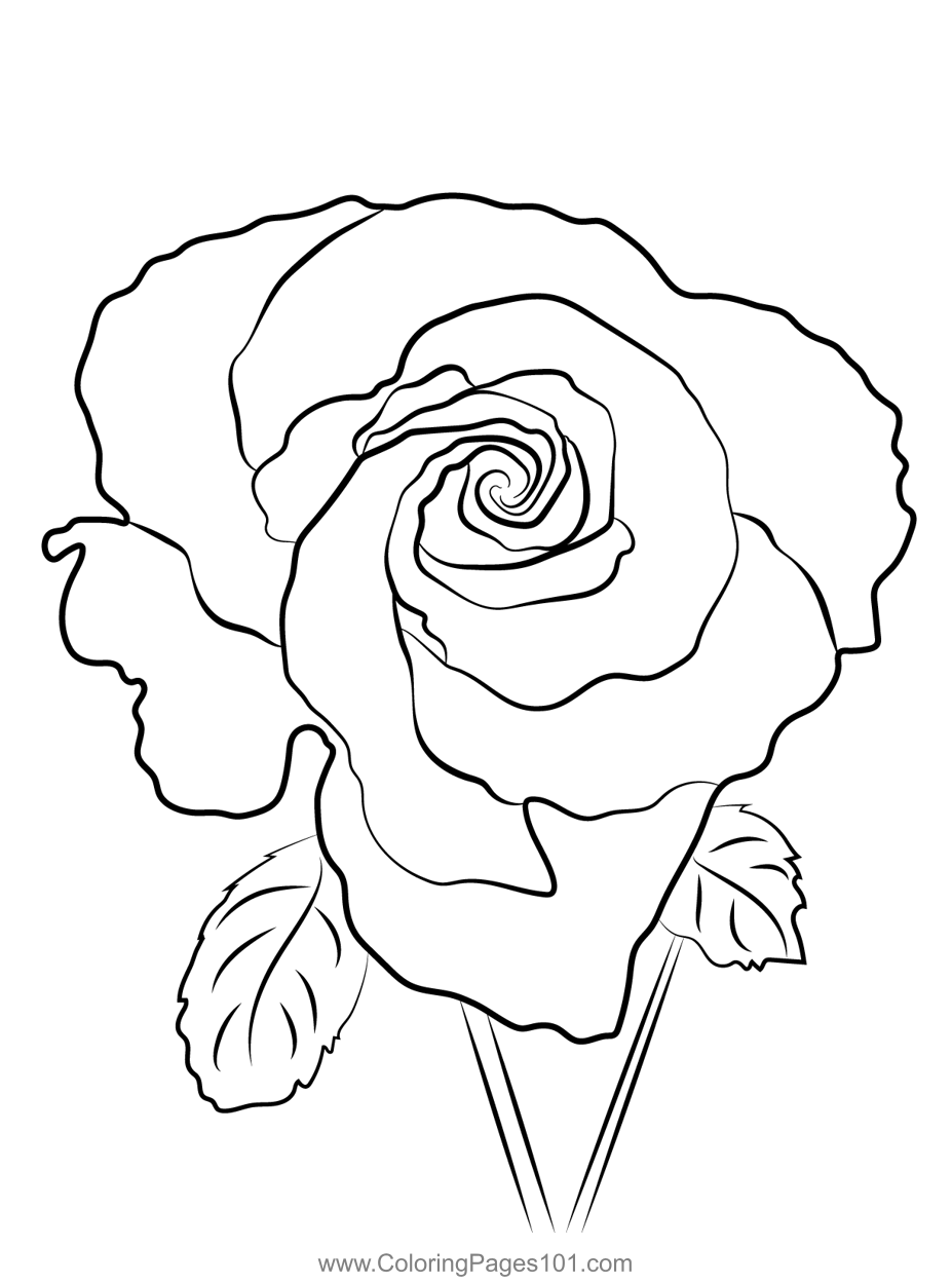 Rose Coloring Pages Rose Coloring Pages