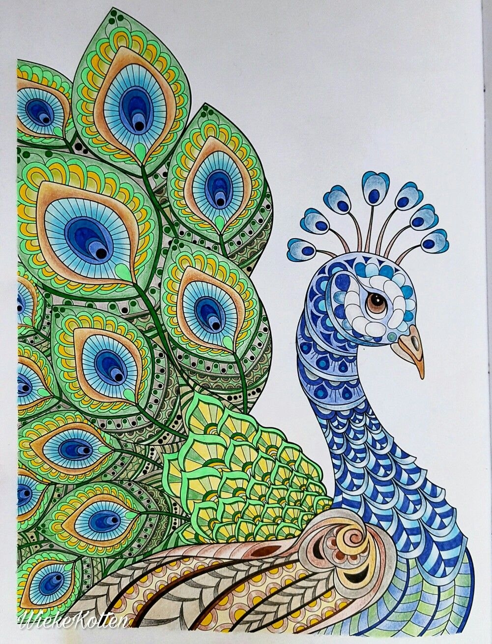 finished coloring pages flowers