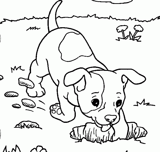 Best Coloring Page Dog Dogs And Puppies Coloring Pages Free