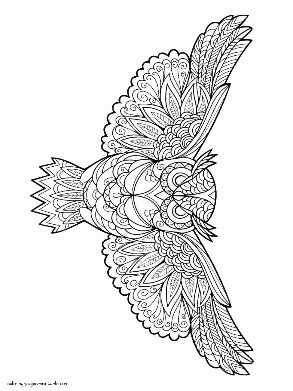 Bird Coloring Book For Adults COLORING PAGES PRINTABLE COM