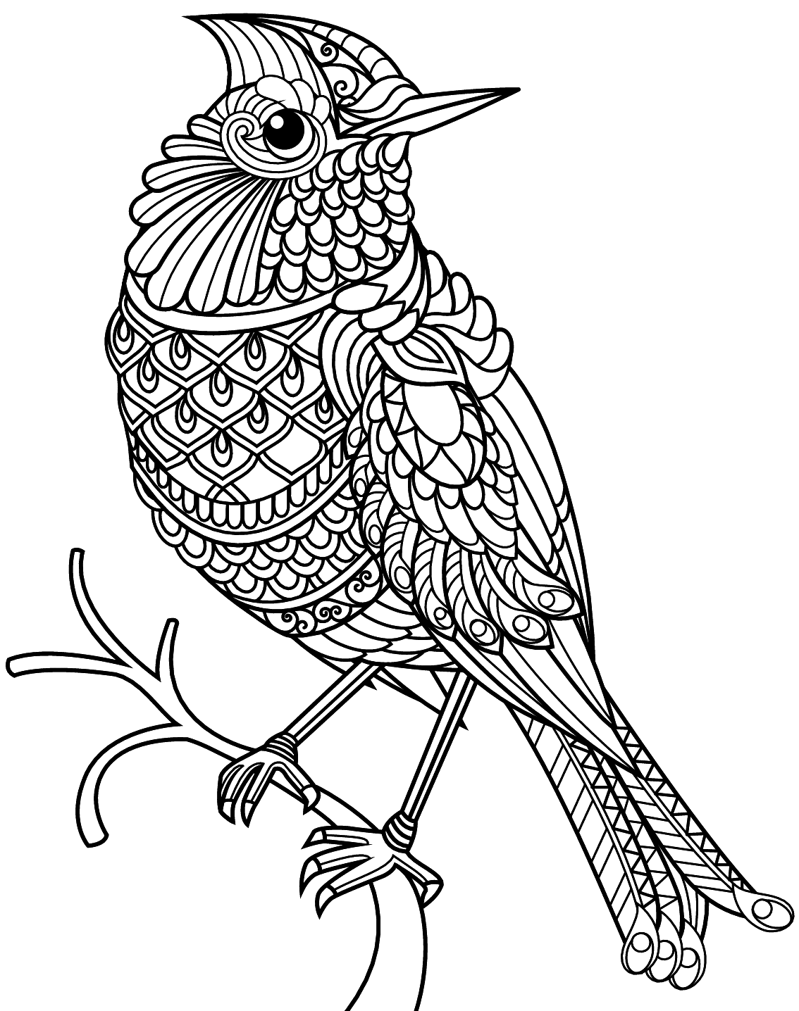 Bird Coloring Pages Printable Coloring Pages FREE Bird Coloring Pages Printable Coloring Pages FREE