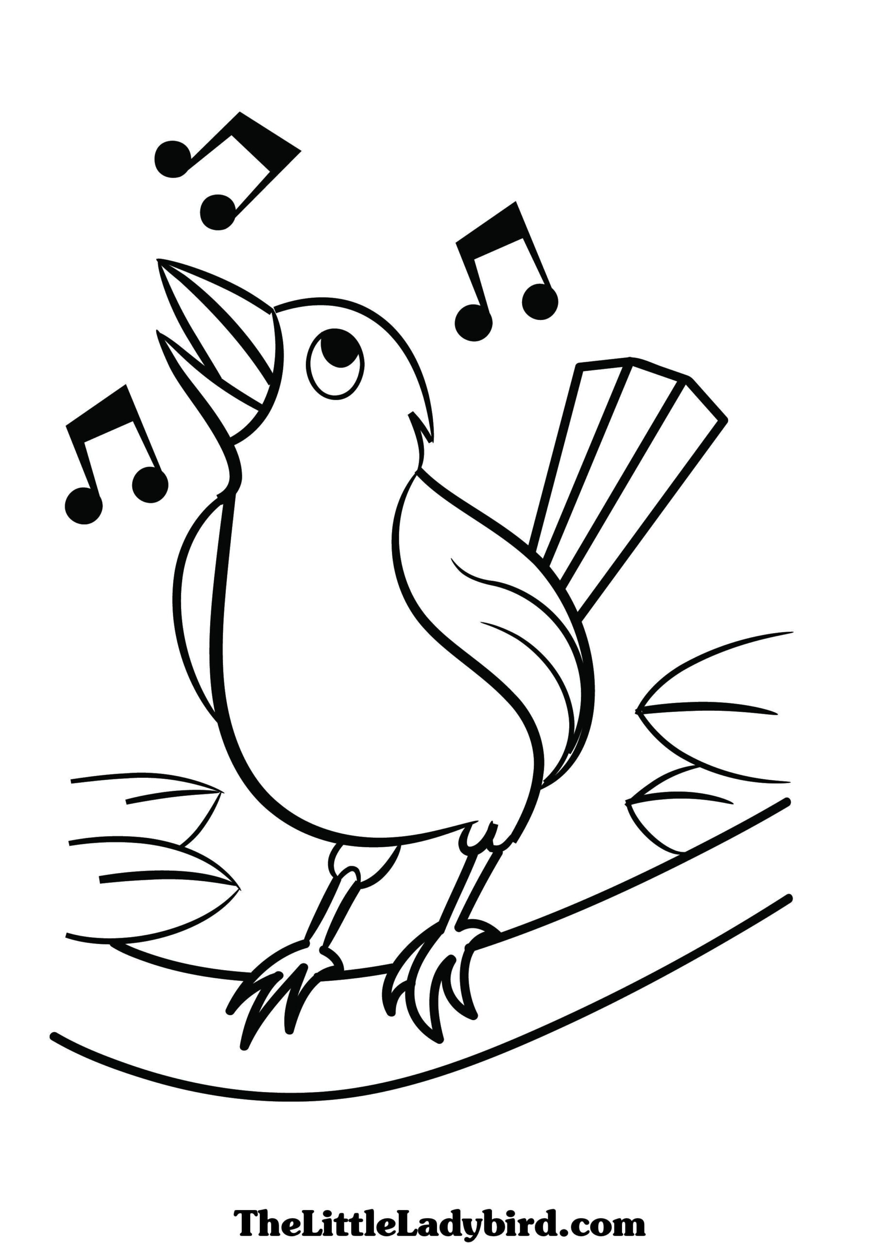 Bird Colouring Pages Printable Printable Free Templates