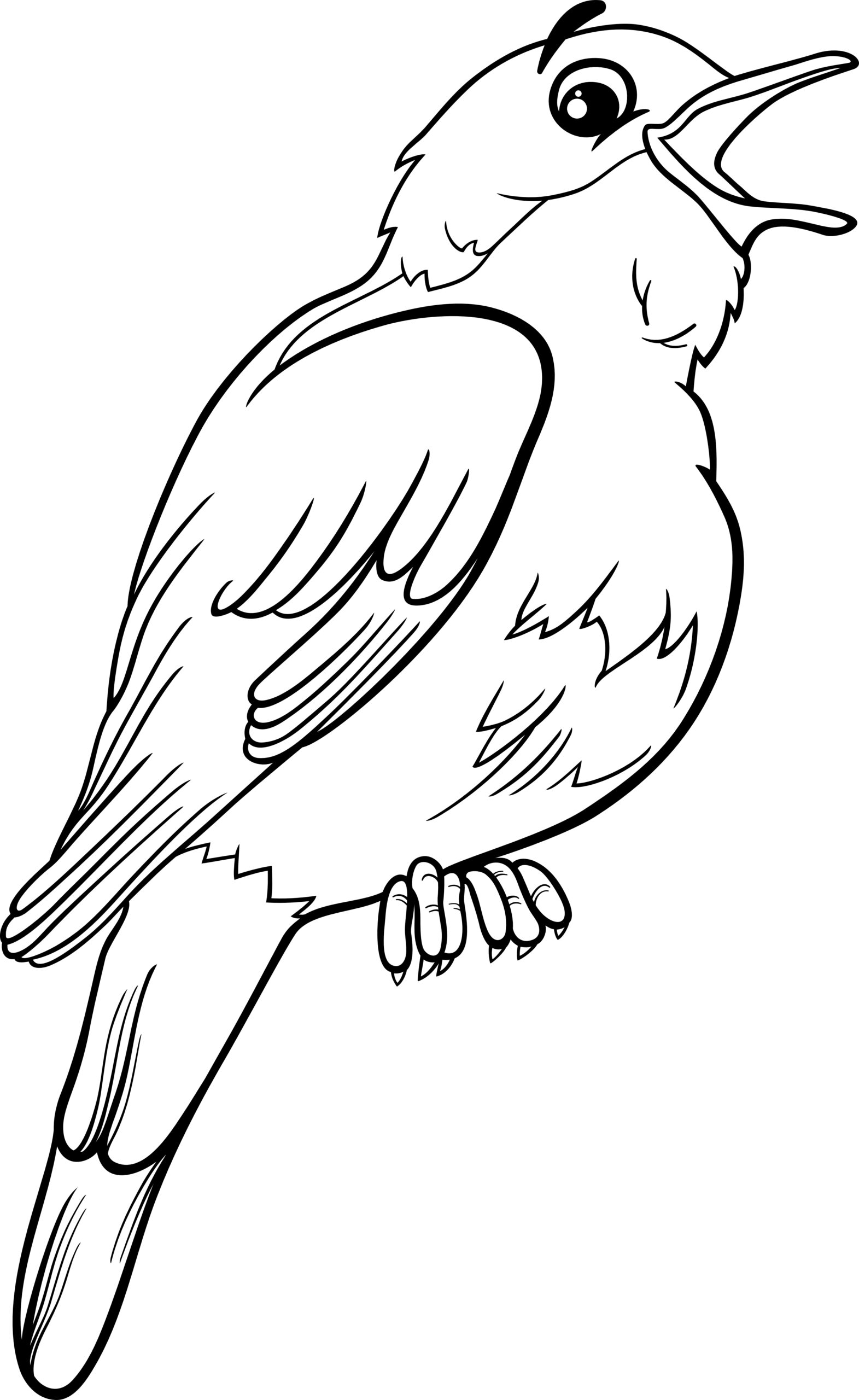Bird Colouring Pages Printable