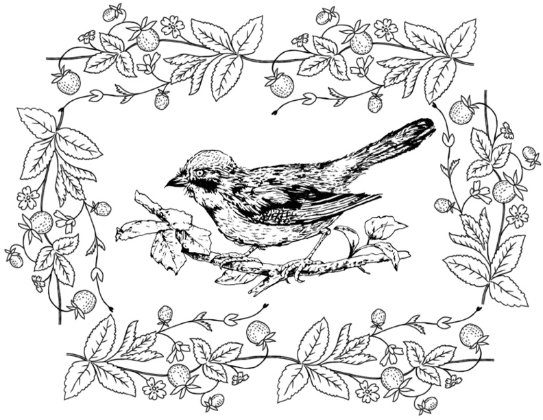 Birds Coloring Pages For Kids Printable Birds Coloring Pages For Kids Printable