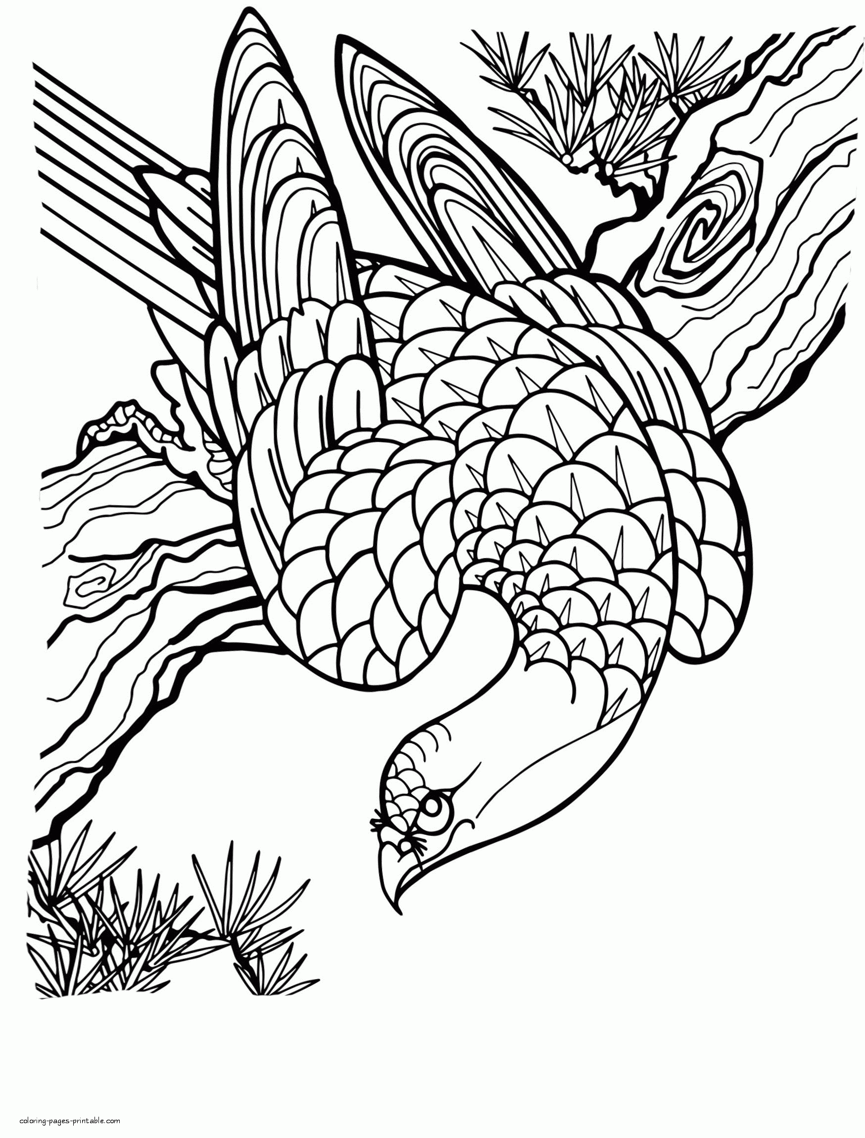 Birds Of Prey Coloring Pages For Adults COLORING PAGES PRINTABLE COM