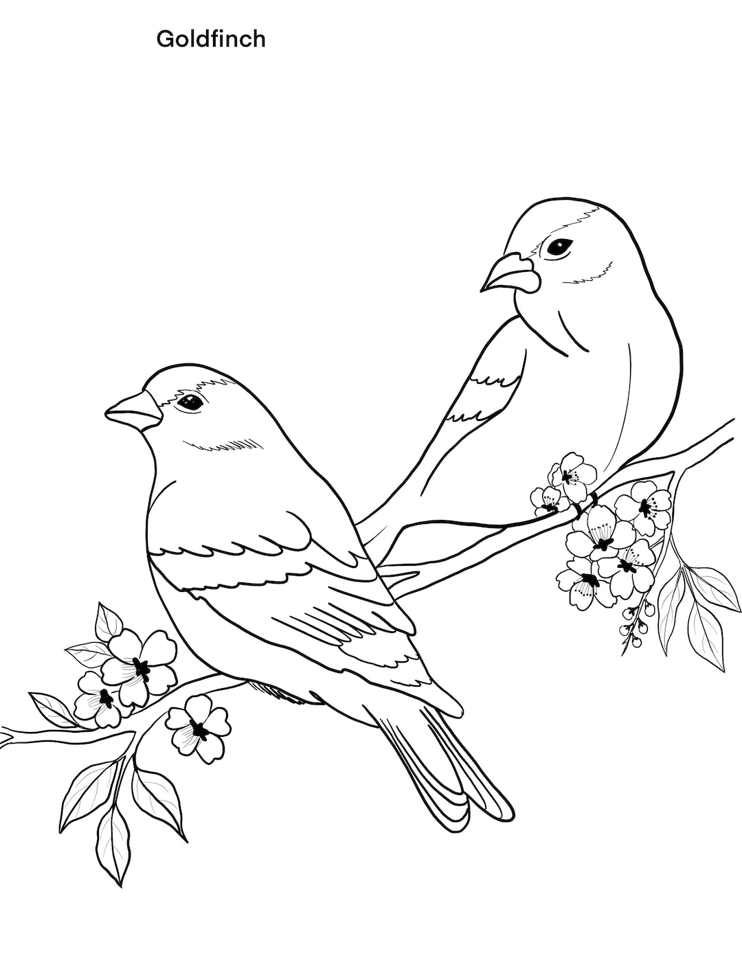 Birds Printable Coloring Sheet Coloring Pages Kids Coloring Pages Birds Printable Coloring Sheet Coloring Pages Kids Coloring Pages