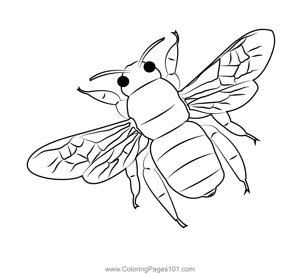 Bumble Bee Coloring Page