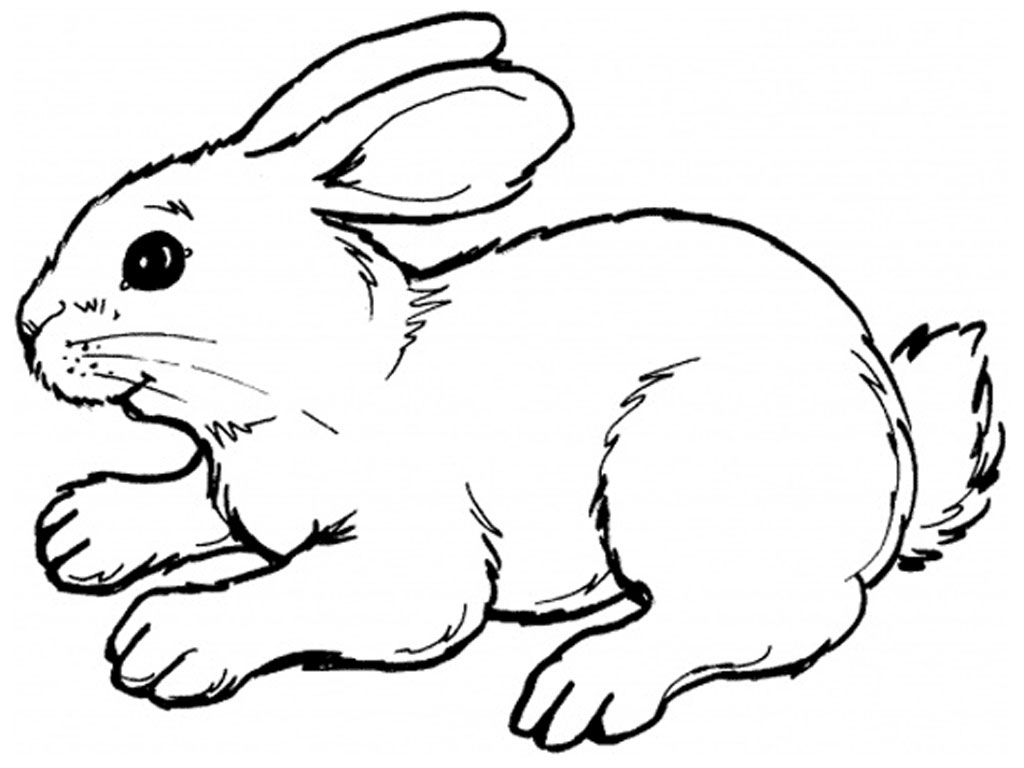 bunny coloring pages free