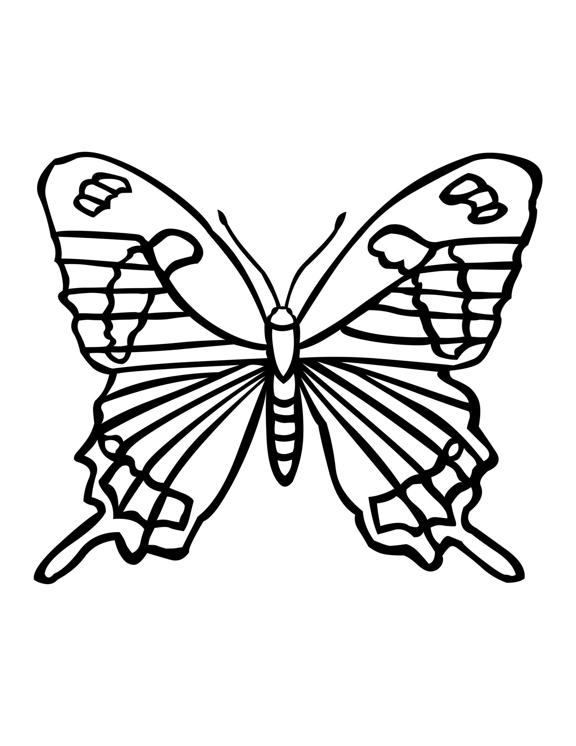 Butterfly Coloring Pages