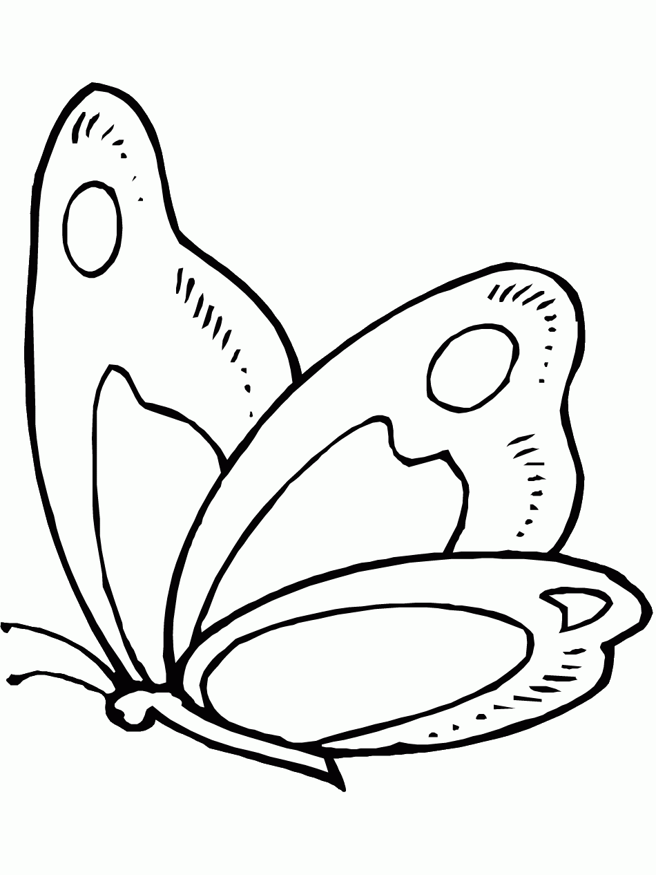 Butterfly Coloring Pages And Printables Animal Coloring Pages