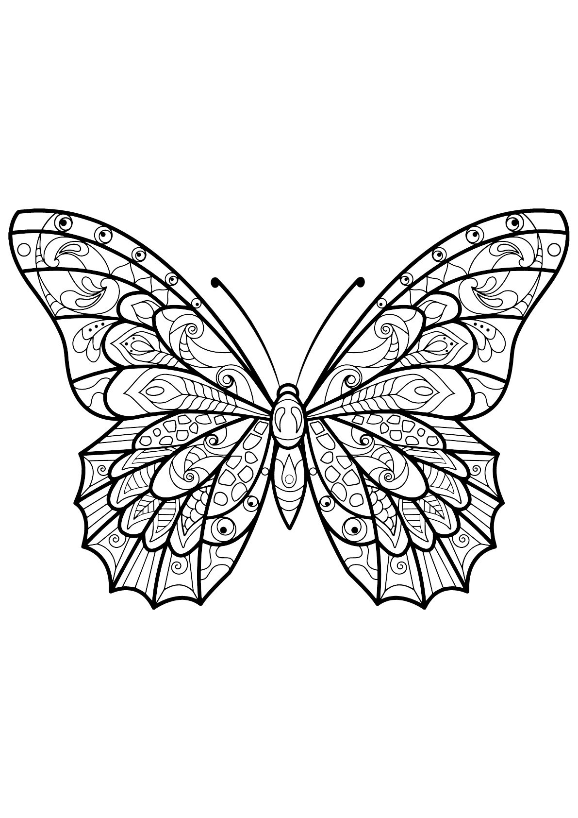 Butterfly Coloring Pages Beautiful Butterfly Coloring Pages Skip To 