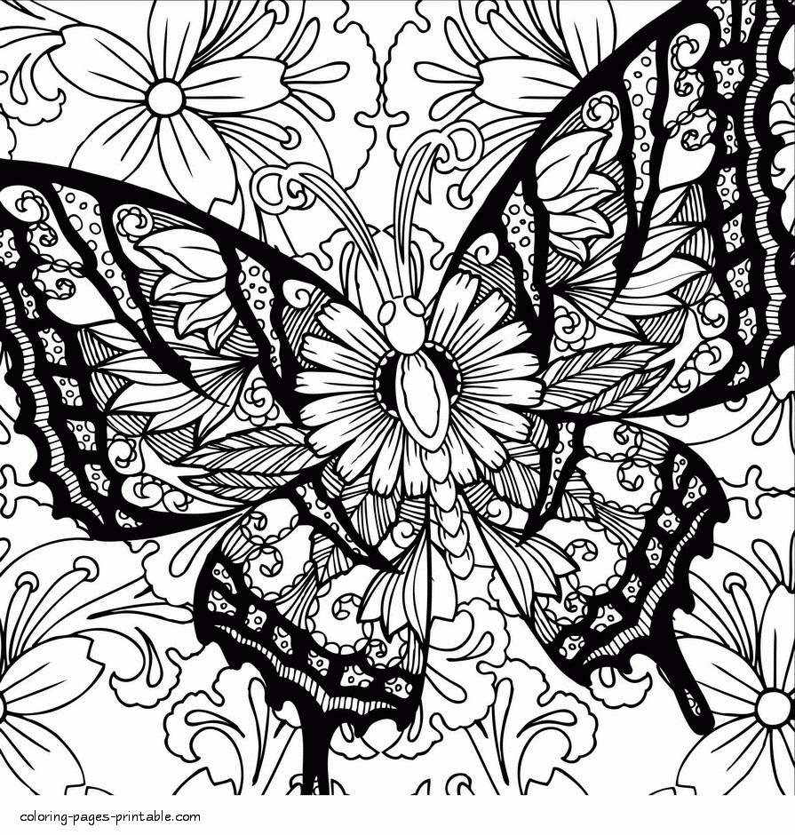 Butterfly Coloring Pages for Adults Easy